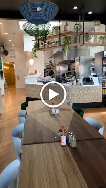 The Little Chihuahua