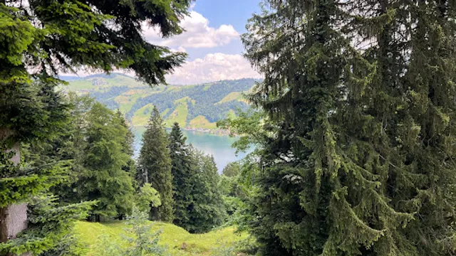 Alpwirtschaft Schornenrain