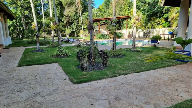 Villa 49A: Villa Alegre