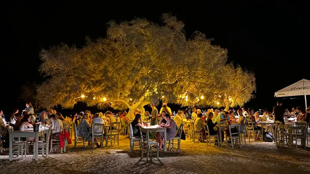 Paradiso Studios & Apartments