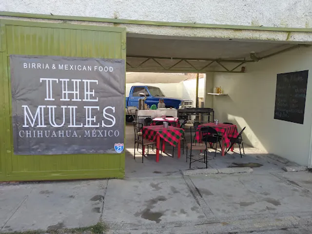 The Mules Birria de Res