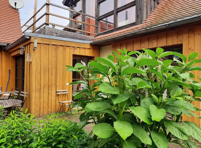 Sommerhof Spreewald - Ludger Wimberg