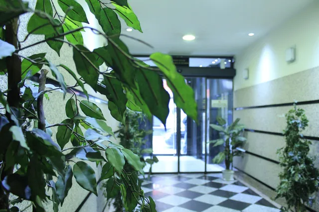 Hostal Inter puerta del Sol