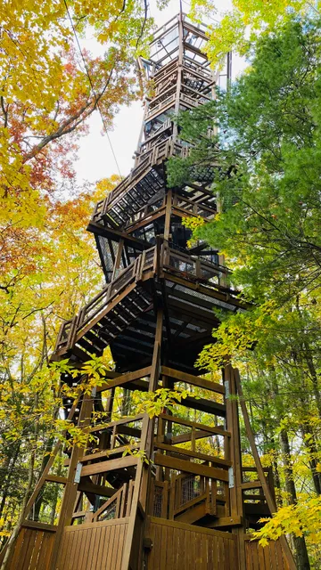 Kalberer Emergent Tower