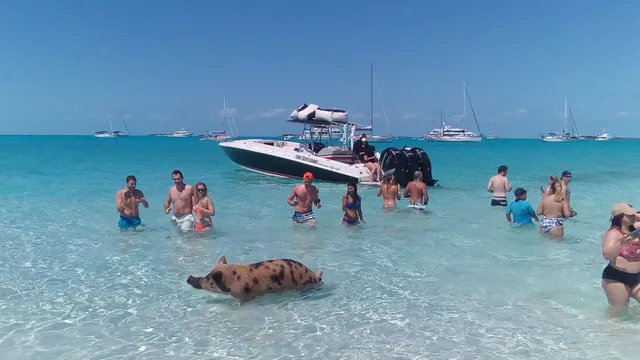 Exuma Escapes Bahamas Ltd.