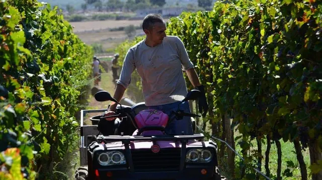 Cantina Masseria Torricella