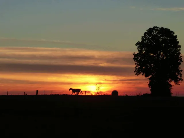 Landurlaub Erzgebirge - Ferienwohnung