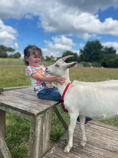 Le Moulin de Rouveau, Ferme Pédagogique
