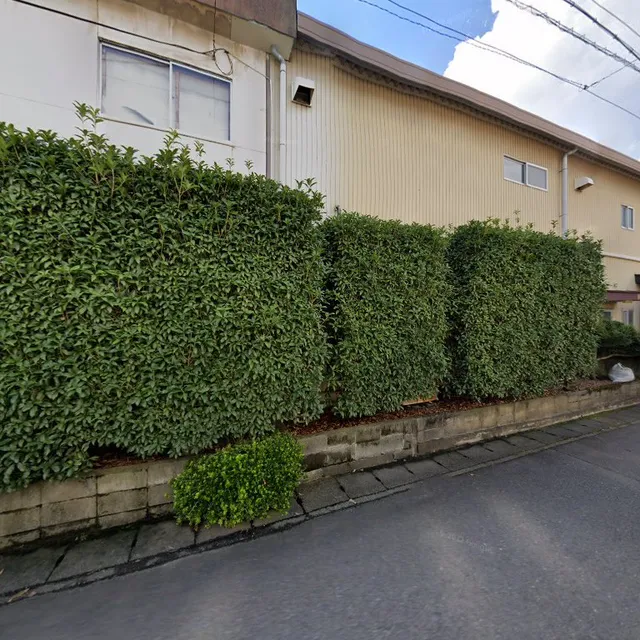 第一製菓（株）