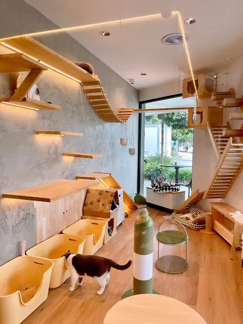 SupermarCat Cat Café