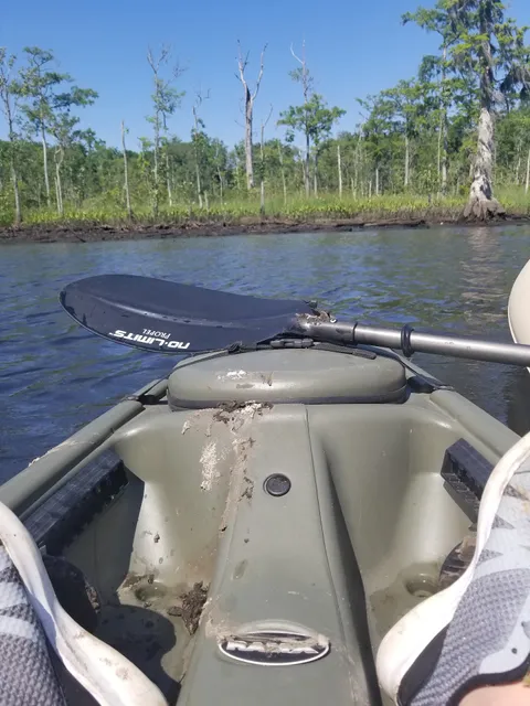 Backwater Fishing Adventures