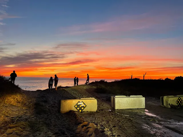 Cisco Brewery Shuttle