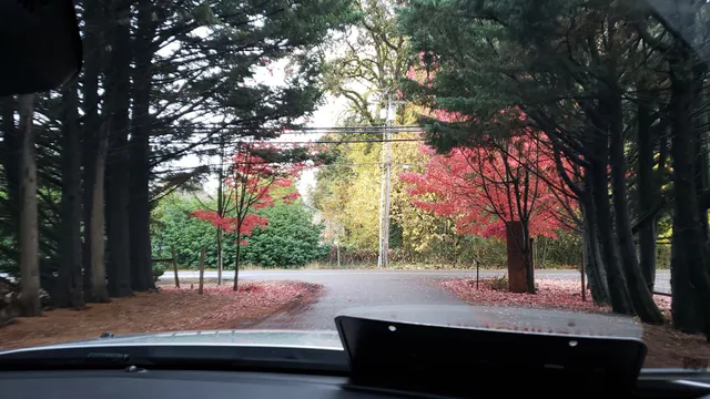 Valley View Memorial Park