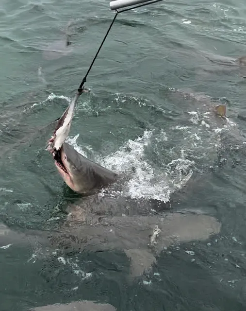 Key West Extreme Adventures