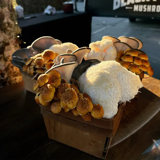 Black Forest Mushrooms