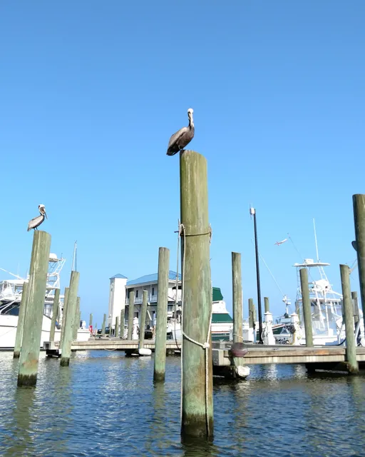 Biloxi Small Craft Harbor