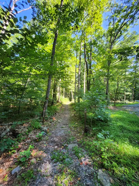 Catoctin National Recreation Trail
