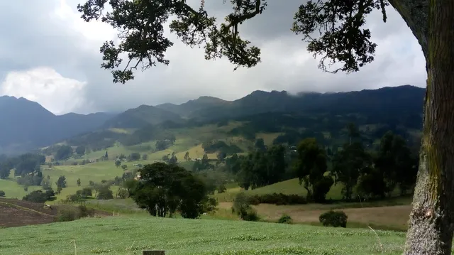 National Natural Parks of Colombia