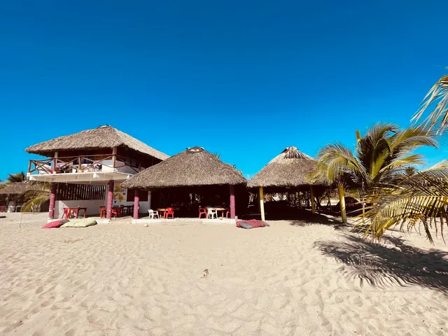 Restaurant Bar Terra Tipi