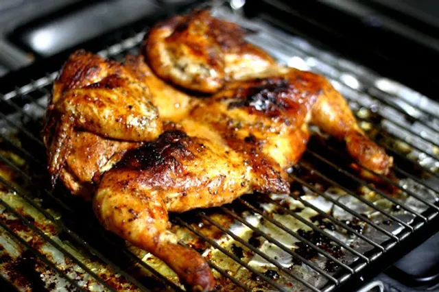 European Grill & BBQ