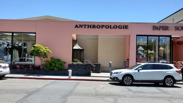 Anthropologie