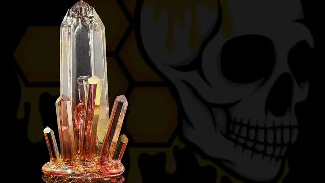 Forbidden Fruit Gallery