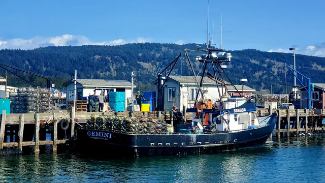 Pacific Choice Seafood