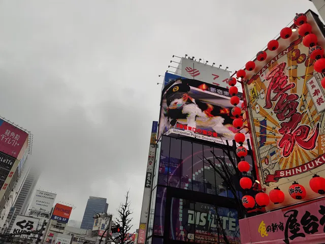 3D cat Cross Shinjuku Space