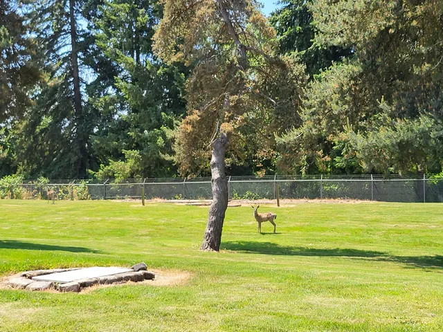 Windsor Island Golf Center