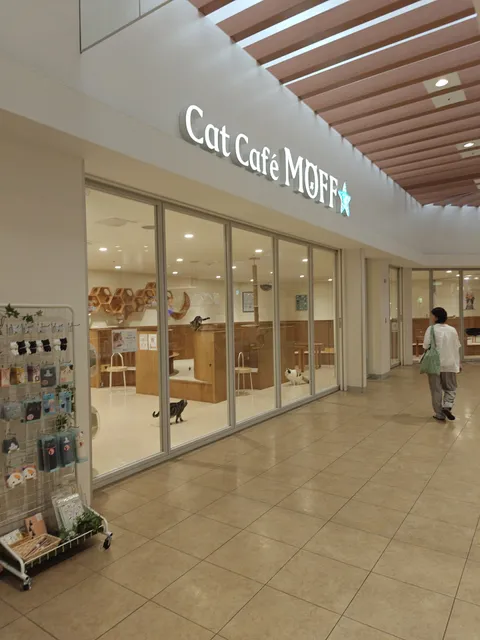 Cat Café MOFF Ario Kurashiki