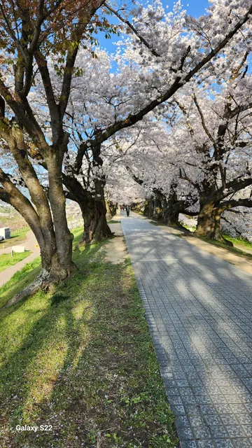 Yodogawa Kasen Park Sewaritei Area Parking Lot
