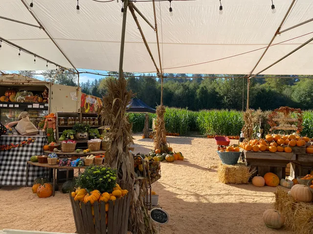 Mosby Farms Pumpkin Patch