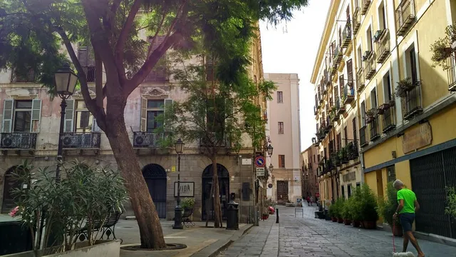 Violà Boutique Hotel