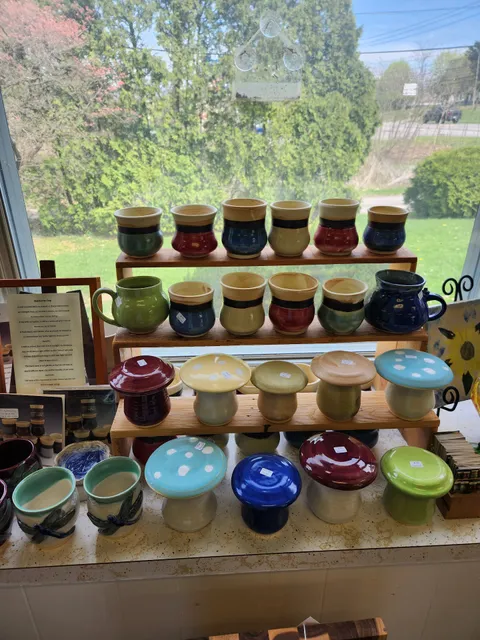 Wheel of Light Studio