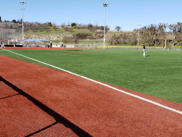 Lithia & Driveway Fields