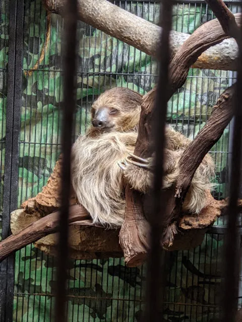 The Wildlife Education and Conservation Center(MUST GET TICKETS THROUGH WEBSITE!)