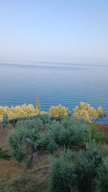 Villa Leonidas GreeceFiloxenia