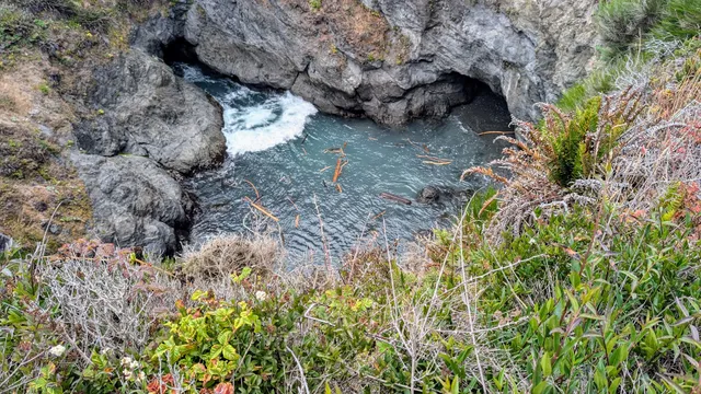 Headlands Trail Trailhead