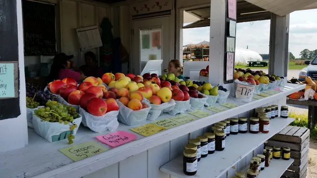 Altonen Orchards M-72 Market