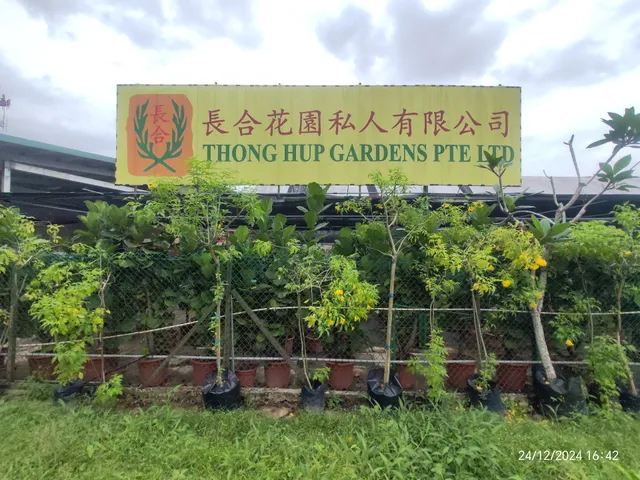 Thong Hup Gardens Pte Ltd