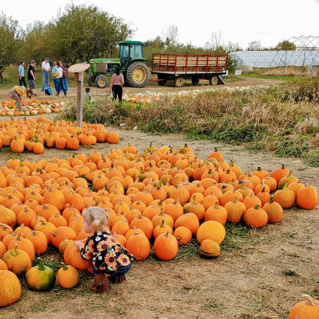 Jacobs' Family Orchard