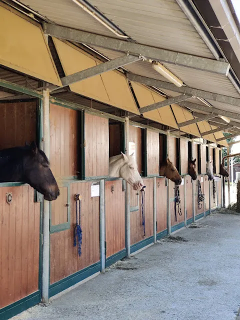 Ristorante Hostaria Germoglio