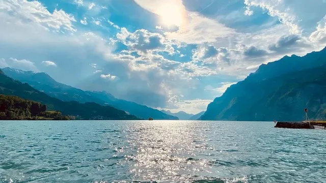 Walensee House & Apartments / Property Management