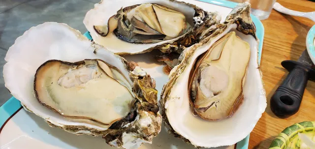 Jishilai Food Fast Food