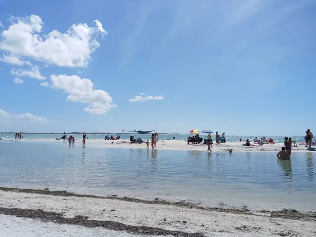 Honeymoon Island State Park Pet Beach