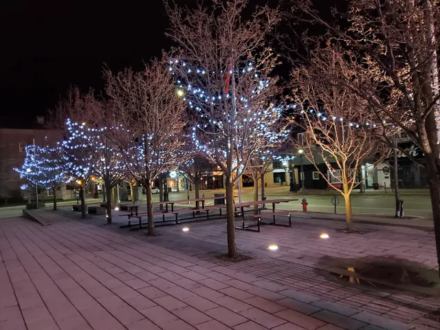 Civic Square Skating Rink