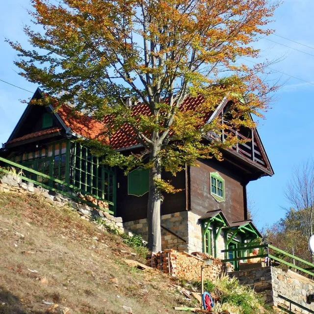 Log Home Eagle's Nest