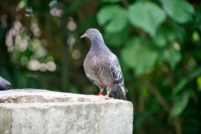 Blk 469B Admiralty Drive Playground