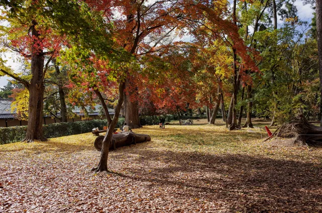 Haha-to-Ko-no-Mori Forest