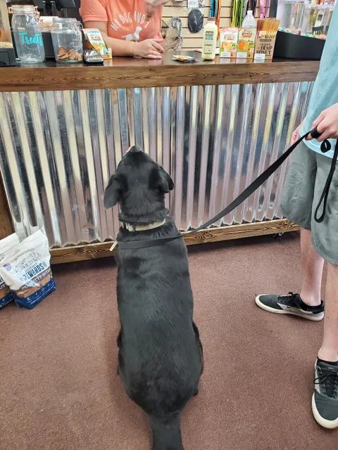 Lazy Creek Pet Food Center